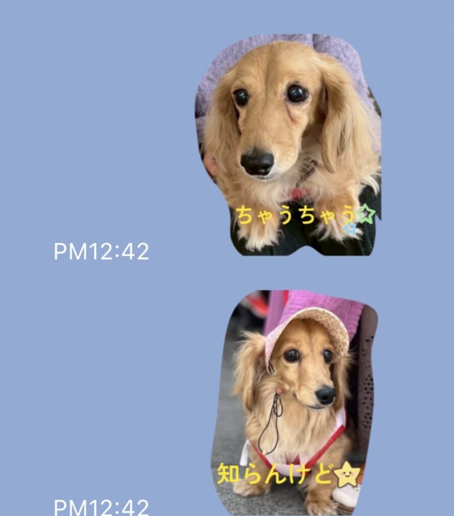 本物のトークに混ざっても、きっと違和感なし✨「知らんけど⭐️」