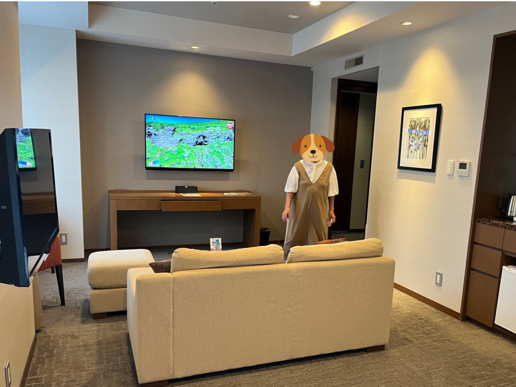 ゆったりソファーにテレビは2代も😳豪華すぎるお部屋