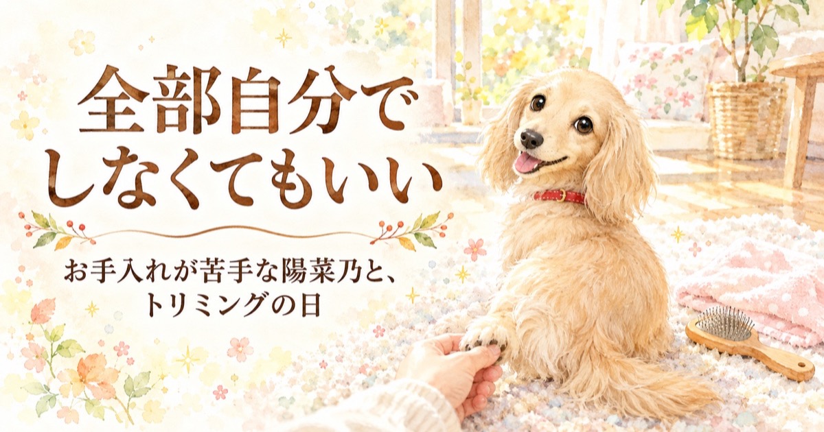やわらかい光の部屋で、赤い首輪をつけたクリーム色のミニチュアダックスが飼い主の手にお手をしている水彩イラスト。そばにブラシとタオルが置かれている