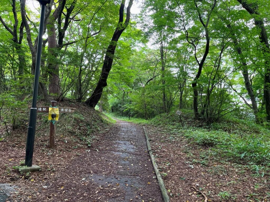 伊香保森林公園へ続く森の小道